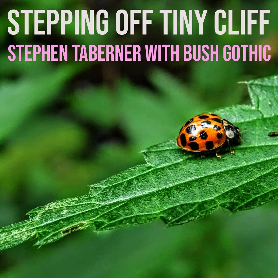 Stepping Off Tiny Cliff - A Concert debut of Stephen Taberner with Bush Gothic at Wesley Anne