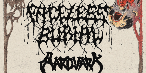 Faceless Burial, Aardvark, Involucro & Primeval Butcher at The Tote at The Tote