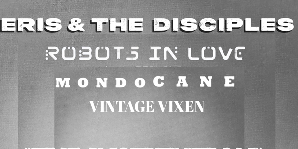 An Institution For The Reckless - Eris & The Disciples, Vintage Vixen, Robots in Love & Modo Cane at The Tote