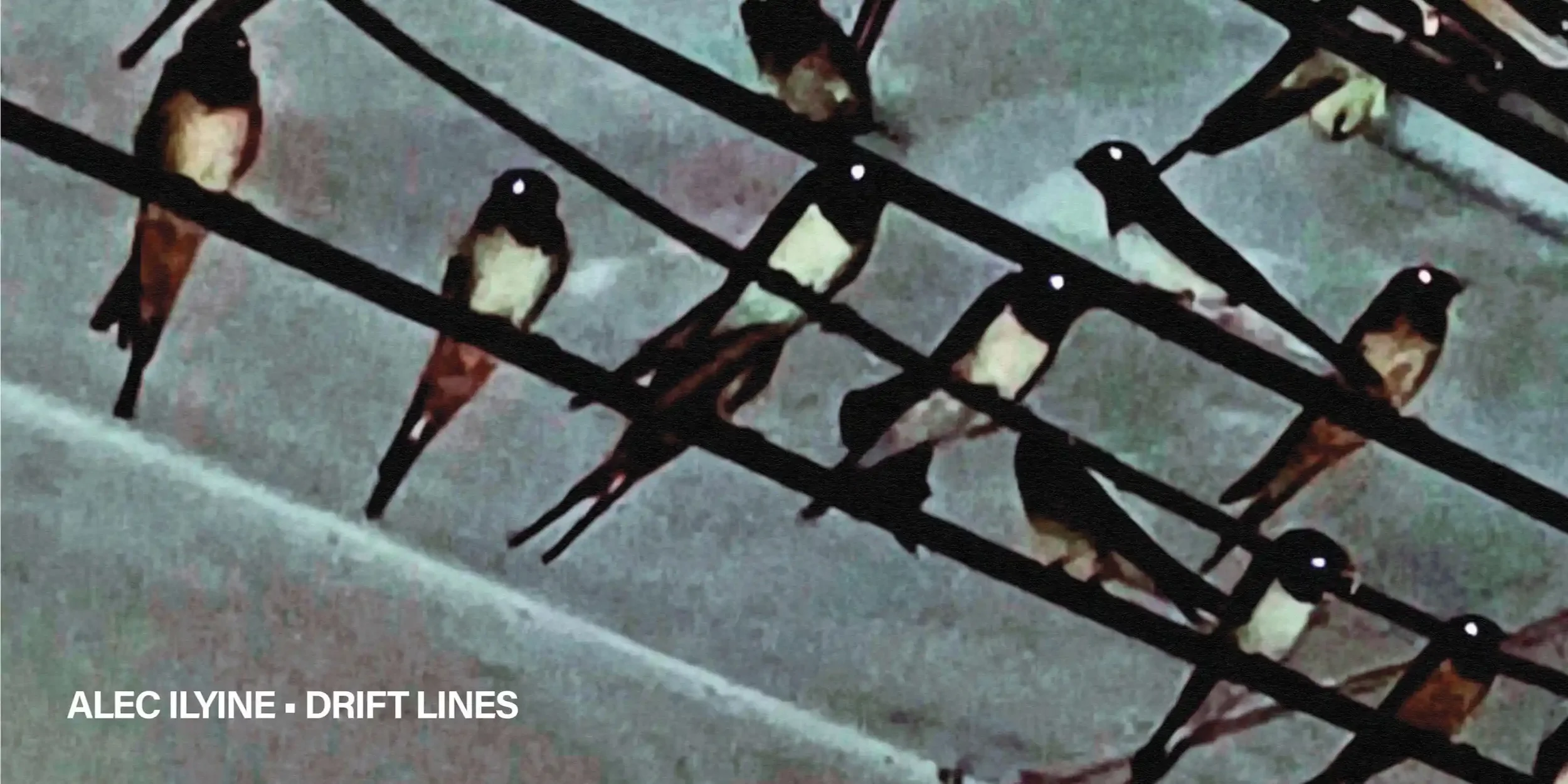 Alec Ilyine - "Drift Lines" album launch - Ramble Records at The Brunswick Green