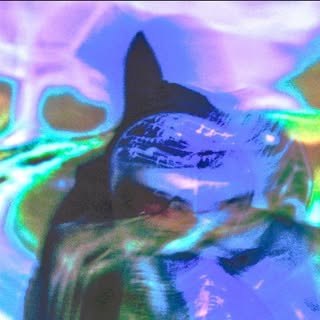 Tyla Moonchild
