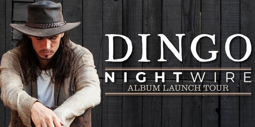 DINGO