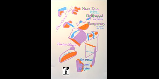 Microtonal Fuzz - Nava duo / Driftwood / A Temporary