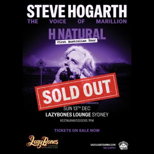 STEVE HOGARTH (MARILLION) - H NATURAL
