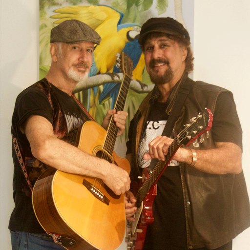 THE BONGO BOYS