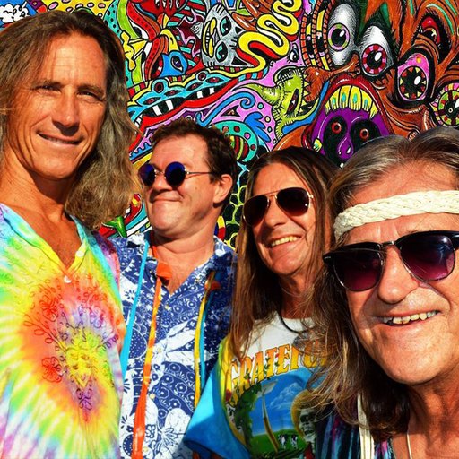 LATE FOR WOODSTOCK