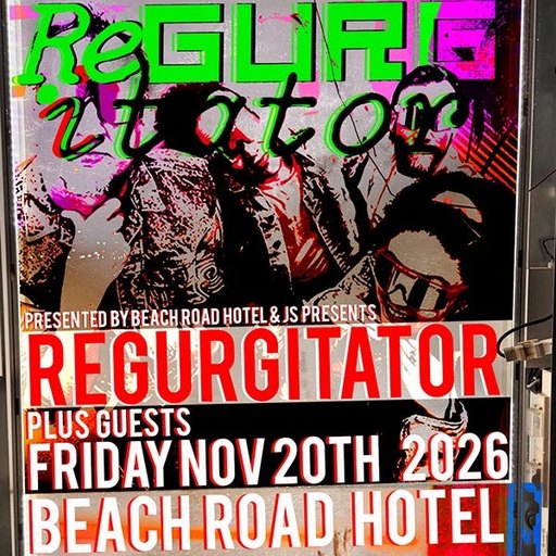 Regurgitator Live at Beach Road, Bondi