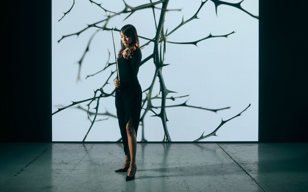 Australian Chamber Orchestra Bach’s St John Passion