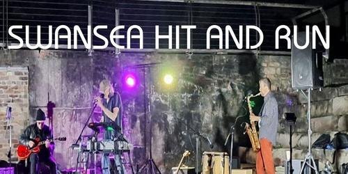 Swansea Hit and Run w/ Damned Dog and The Dynamics