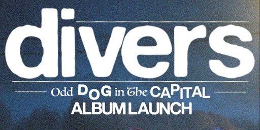 Divers 'Odd Dog in the Capital' album launch