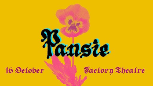 PANSIE IV