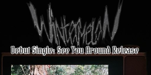 Wintermelon [See You Around Single Release] - THE LAST CHANCE