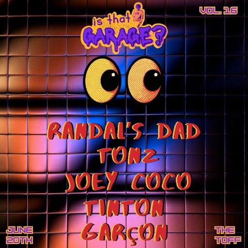 IS THAT GARAGE? — VOLUME 16