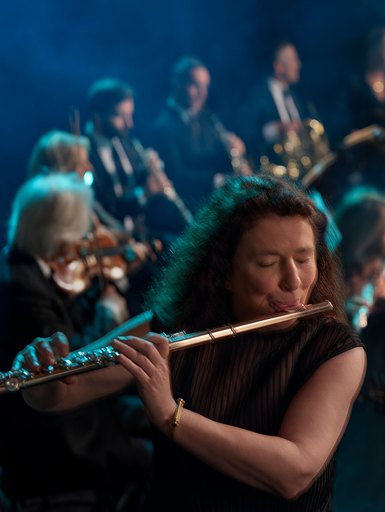 Serenade: Mozart & Brahms
