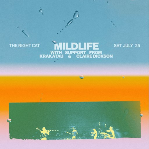 Mildlife Live at The Night Cat